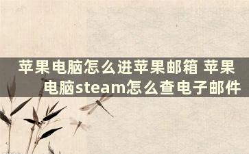 苹果电脑怎么进苹果邮箱 苹果电脑steam怎么查电子邮件